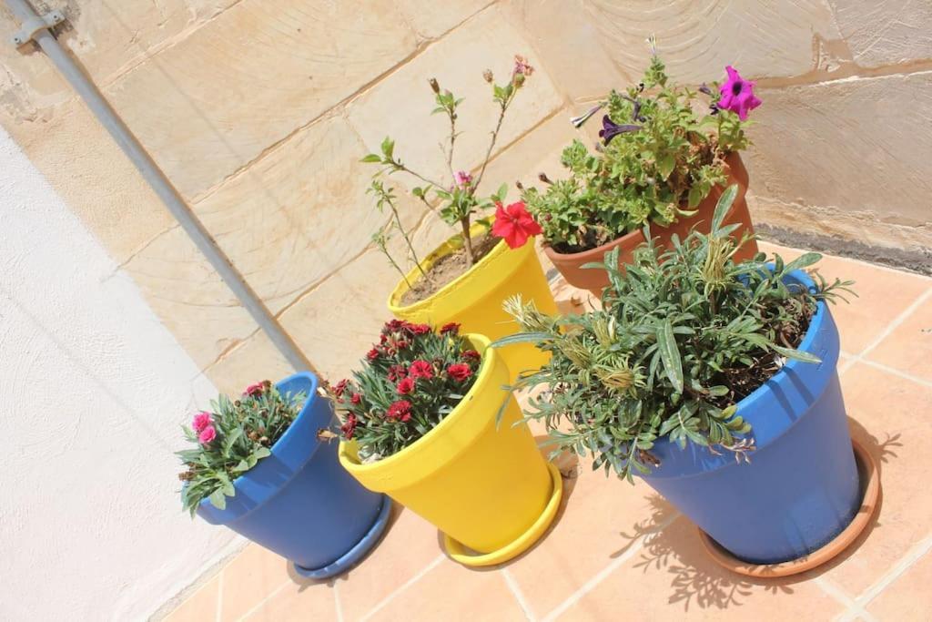 That Little Zurrieq ภายนอก รูปภาพ